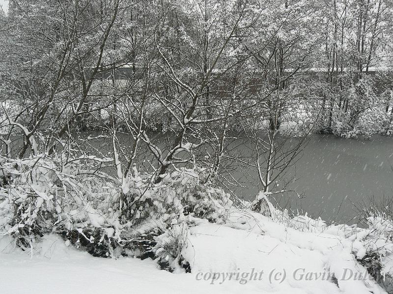 Snow, Blackheath P1070121.JPG